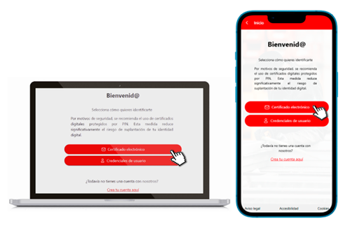 mi informacion económica