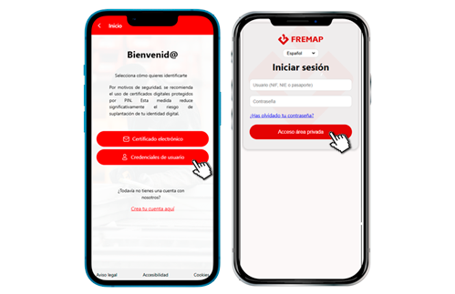 mi informacion económica
