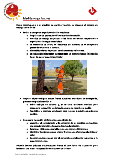 2.- Organisational measures.pdf