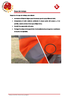 3.- Workwear.pdf